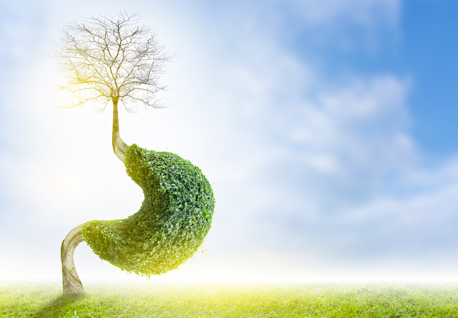 Verdauungsenzyme sind winzig mit riesengroßer Wirkung